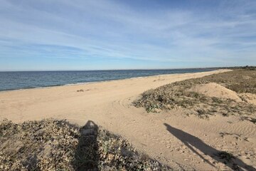 Отдых (рекреация), 300 сот.