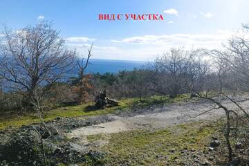 Предпринимательство, 15 сот.