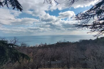 ИЖС, 10,1 сот.