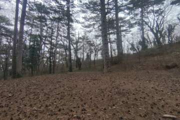 Малоэтажная ЖЗ, 35 сот.