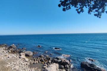 Отдых (рекреация), 39,6 сот.